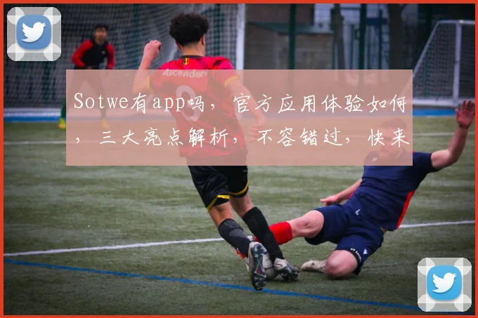 Sotwe有app吗，官方应用体验如何，三大亮点解析，不容错过，快来下载体验