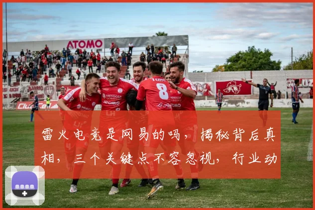 雷火电竞是网易的吗，揭秘背后真相，三个关键点不容忽视，行业动态值得关注