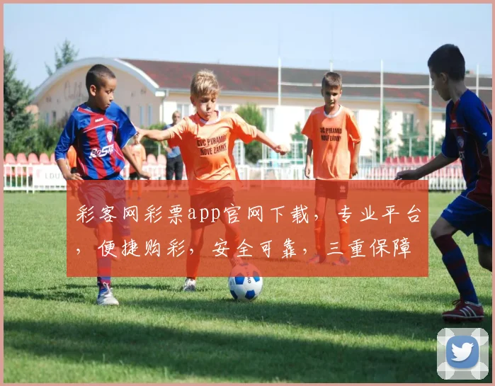 彩客网彩票app官网下载，专业平台，便捷购彩，安全可靠，三重保障，不容错过，轻松下载体验