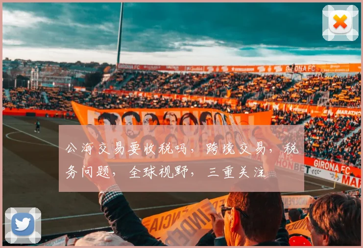 公海交易要收税吗，跨境交易，税务问题，全球视野，三重关注