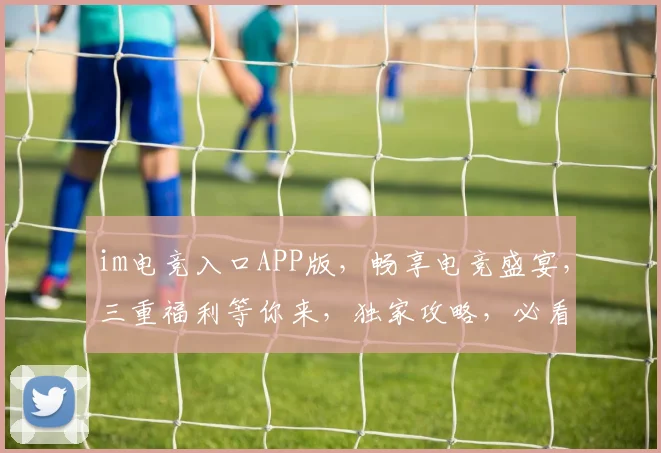 im电竞入口APP版，畅享电竞盛宴，三重福利等你来，独家攻略，必看